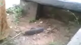 Video Mesum Desi Di Luar Rumah, Istri Selingkuh Lagi Ngewe Sama Pacar Gelapnya