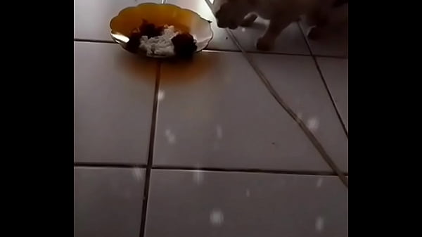 Anita, Si Binal Yang Bikin Lidah Gatal.